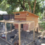 Good Designs for Chicken Coops Make All The Difference