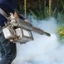 Tips To Find The Best Local Pest Control Service